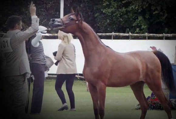 Screenshot 2020-07-12 21.18.14