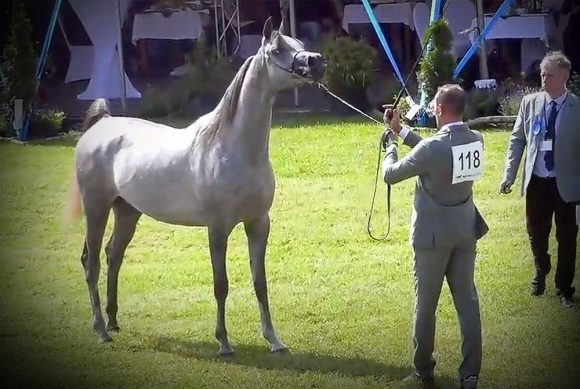 Screenshot 2020-07-12 21.22.34