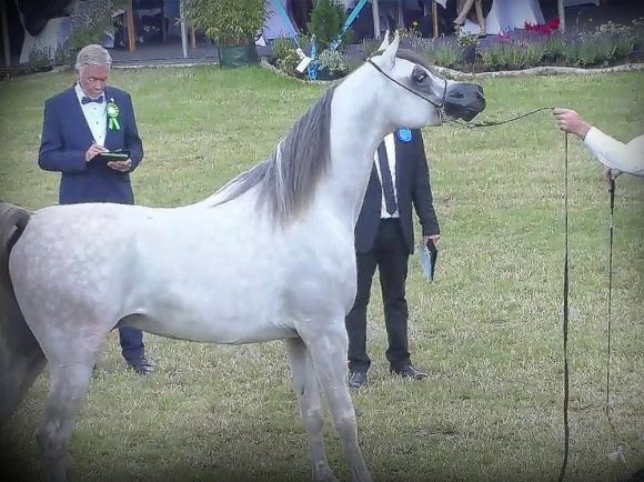 Screenshot 2020-07-12 21.27.41