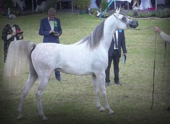 Screenshot 2020-07-12 21.27.58