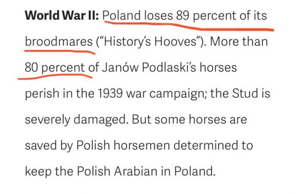 0e6d866d-757c-4394-a68d-28f3db8c44a8