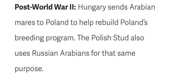 2fb03907-52b3-4db3-9d9d-b13d24fbea5c