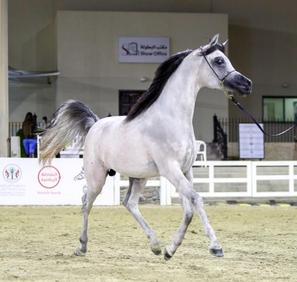 0201d4c5-9cc9-4b24-bd24-cb9b9ffca5aa