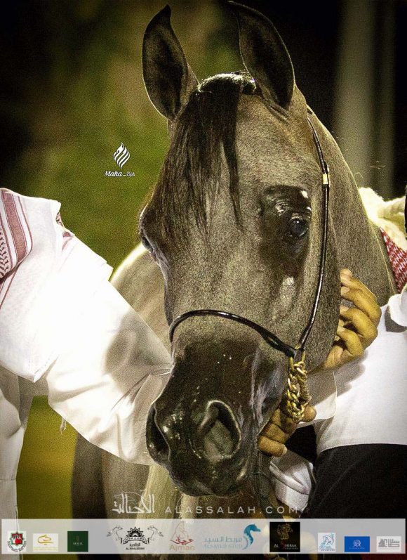 0e5094a6-b512-4e88-841e-afa4f339a7a2