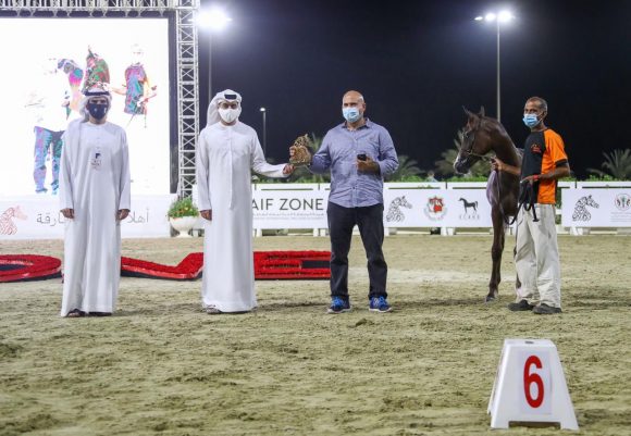 10faaf95-becb-44db-965a-8690f4d2f3bd