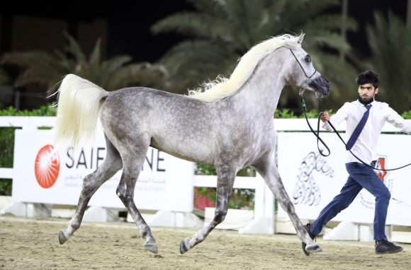 115a6a2e-1322-4367-8328-dff51baebede