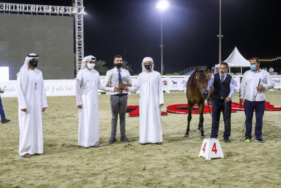 14eac0cd-9316-42f1-94fb-2694daee7c2a