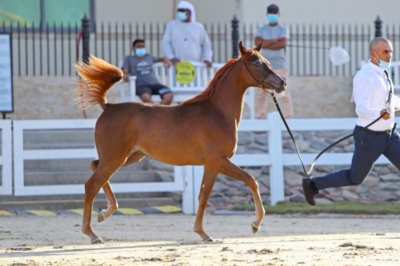 1ed5f56a-7c97-4cc2-b20b-b0356c5c9d69