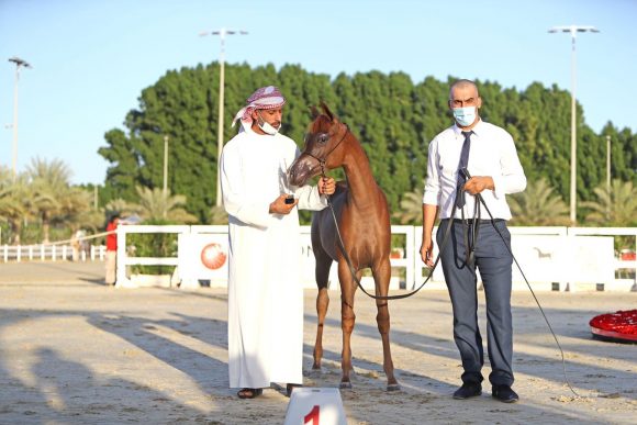 21c4987c-c7b3-4080-ae13-7979563b0d1c