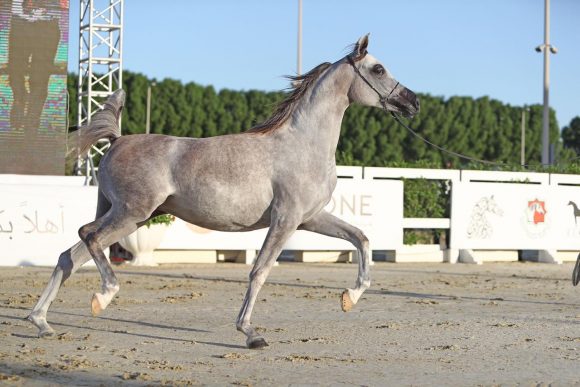 295435cf-a1f3-4eaf-a5fe-10a9799710cb