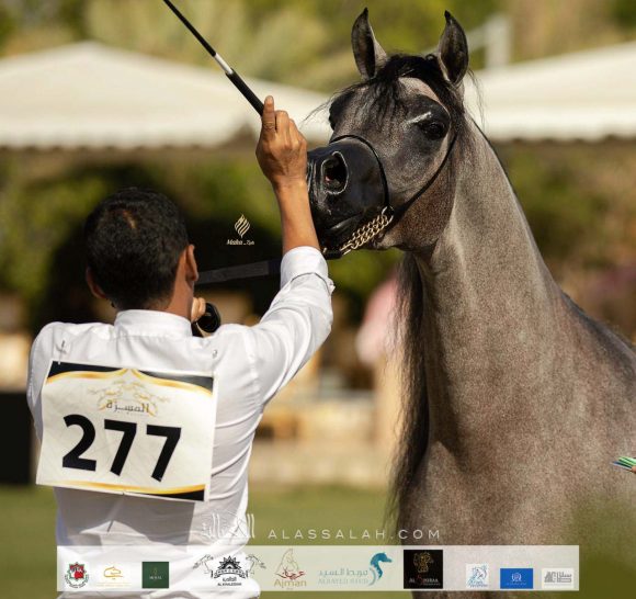 2bd14ed9-1678-46b3-962d-c8f37361b28b