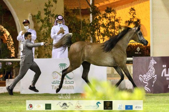 3a301c0a-b2c6-4cce-b295-d56cdcf750dd