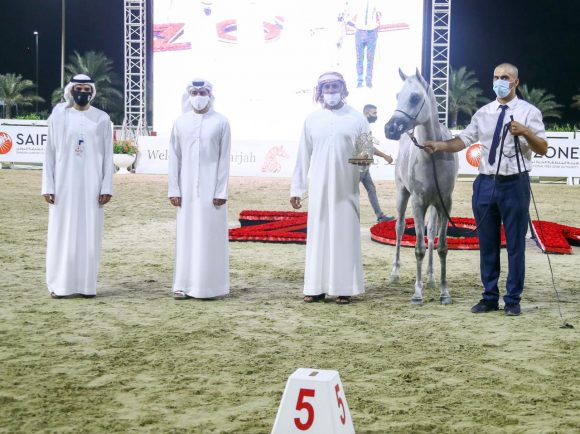 43c899d9-ebf9-4cfa-89b1-109d489e07cb