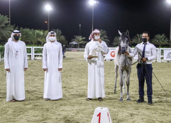 515655d9-8d65-4933-b2ff-6fb31a702491