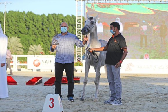 64d0703b-f8ca-4746-82c6-288518dcc21e