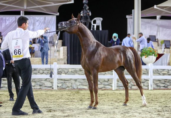 6acc4ee2-4558-43eb-8b8e-7626c2a50e35