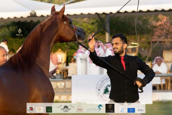 6f9eca90-7151-438f-9813-a781c0de5e60