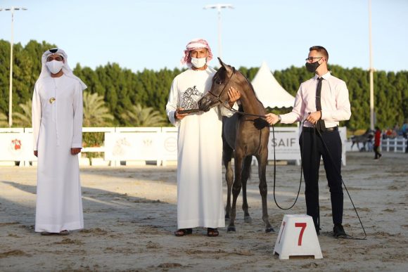 716f8c3f-5461-4f26-b087-dc714c5a22b9