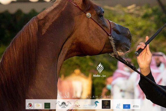 73d7c7d0-498f-49a1-bcec-6f034d1f510c