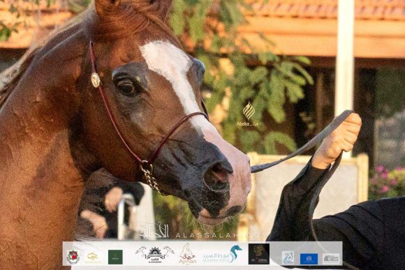 78111c12-edde-4fa5-80b3-ae96452f7eba