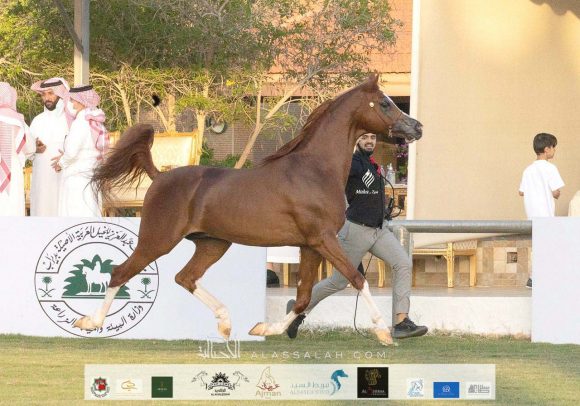 79f3530f-79f4-45d3-8110-0c13763d72d0