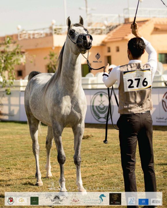 7e877aa8-2197-4886-9f18-fede7706efef