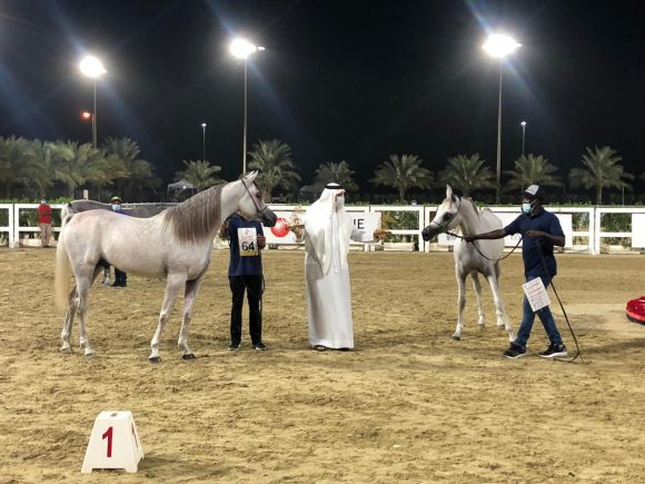 80e5b724-1fed-4d85-b26f-8737fd8be0a8