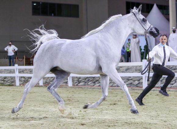 8477fabe-e8da-473e-b6b3-fa70c766f243