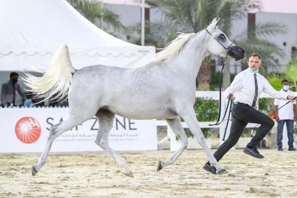 8851d66e-6c47-4c83-ab33-7260a6c6e21c