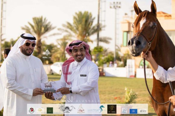 902ea74c-c2c8-438b-a985-a1059c390703