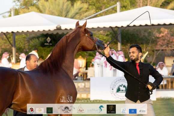 9bf70388-bfe3-4c31-80c1-5bfa33a548ee