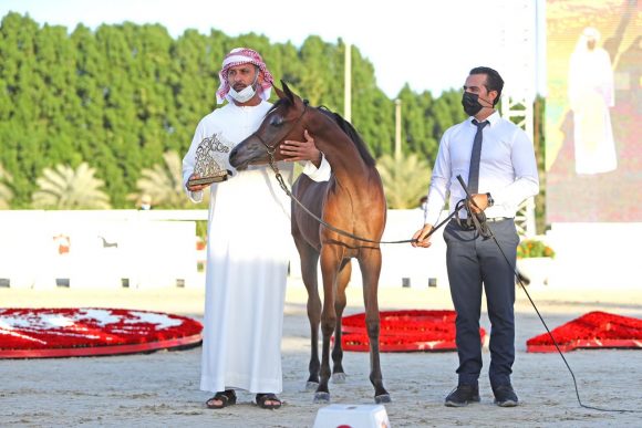 9cddc958-c35d-4ef5-a8b8-c6fec0c85191