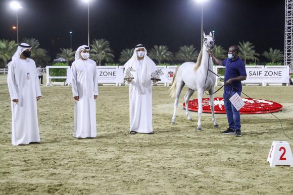 9fe60a4b-ffff-4a4f-bd96-d8715b6f4a6b