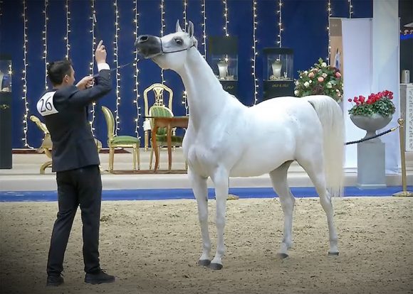 Screen Shot 2020-10-19 at 10.08.31 PM