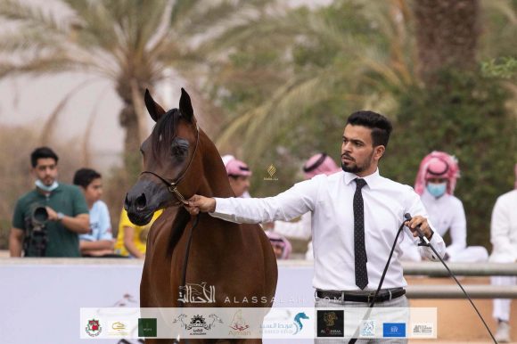 Taif 2020 1st day 22020-10-02 at 12.41.10 PM 10