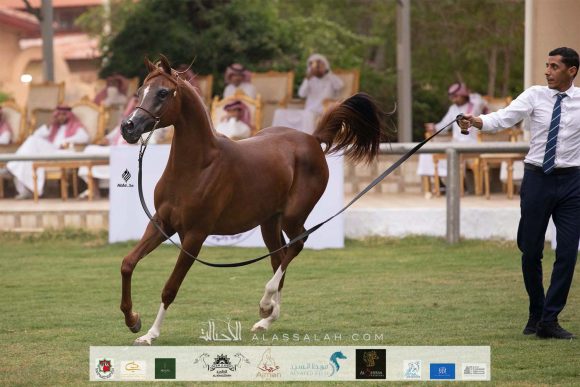 Taif 2020 1st day 22020-10-02 at 12.41.10 PM 11