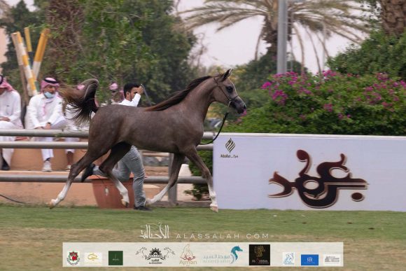 Taif 2020 1st day 22020-10-02 at 12.41.10 PM 12