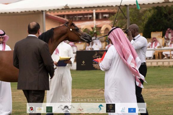 Taif 2020 1st day 22020-10-02 at 12.41.10 PM 13