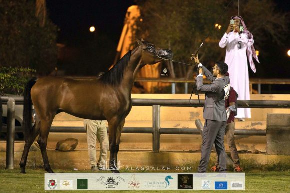 Taif 2020 1st day 22020-10-02 at 12.41.10 PM 2