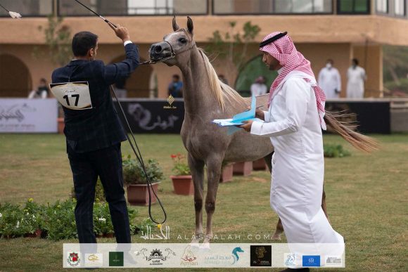 Taif 2020 1st day 22020-10-02 at 12.41.10 PM 3