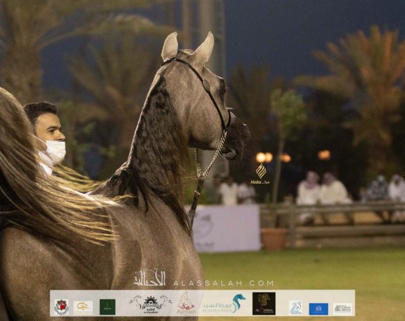 Taif 2020 1st day 22020-10-02 at 12.41.10 PM 4