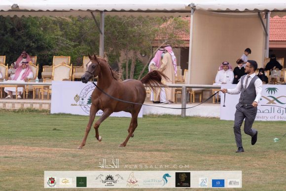 Taif 2020 1st day 22020-10-02 at 12.41.10 PM 6