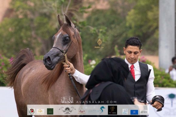 Taif 2020 1st day 22020-10-02 at 12.41.10 PM 7