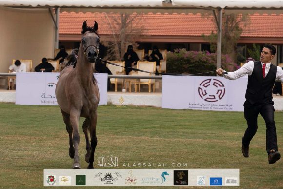 Taif 2020 1st day 22020-10-02 at 12.41.10 PM 8