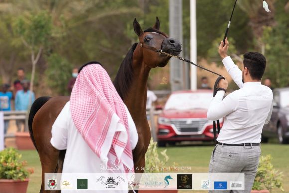 Taif 2020 1st day 22020-10-02 at 12.41.10 PM 9