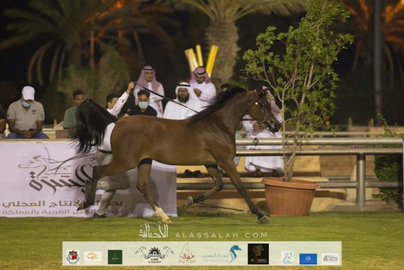 Taif 2020 1st day 32020-10-02 at 2.32.15 PM 2