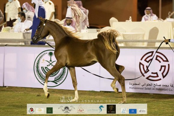 Taif 2020 1st day 32020-10-02 at 2.32.15 PM 4