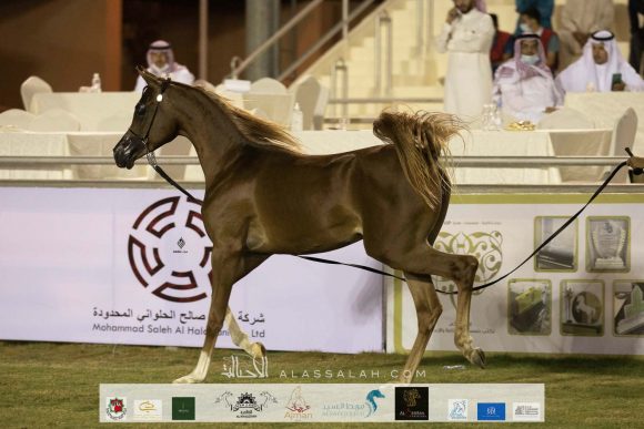 Taif 2020 1st day 32020-10-02 at 2.32.15 PM 5