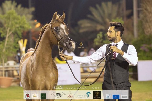 Taif 2020 1st day 32020-10-02 at 2.32.15 PM 6