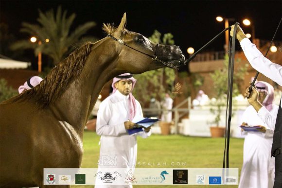 Taif 2020 1st day 32020-10-02 at 2.32.15 PM 7